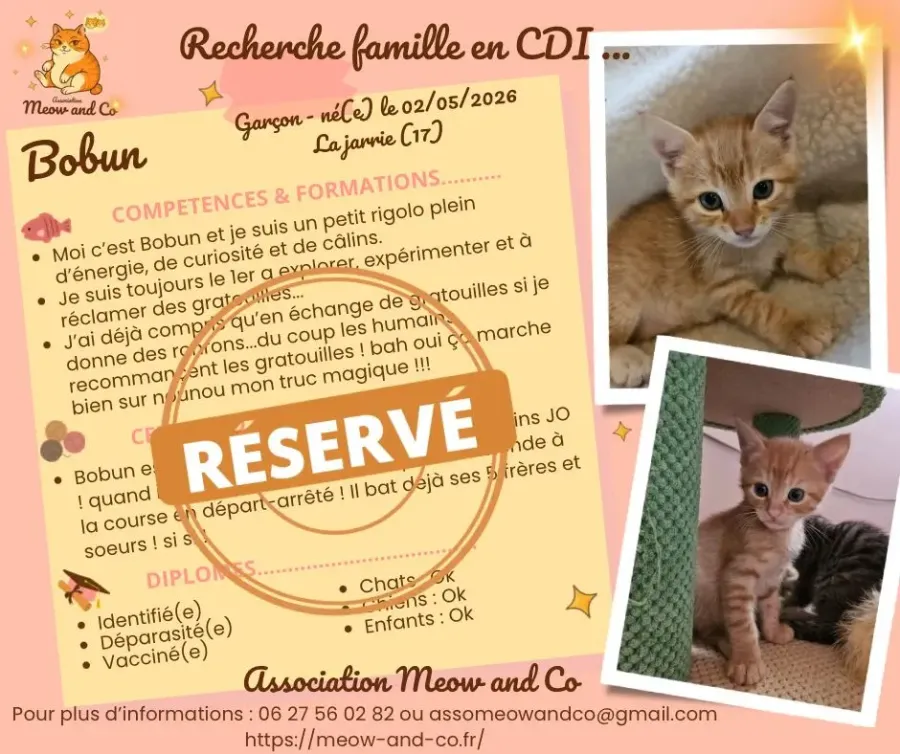 Photo de Bobun