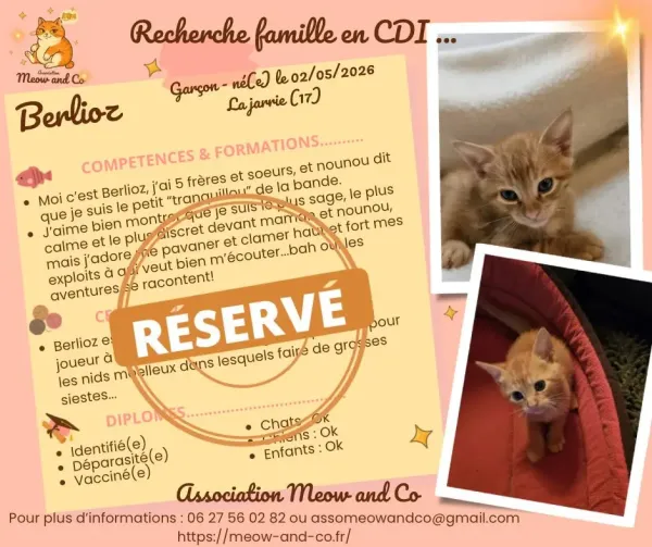 Photo de Berlioz