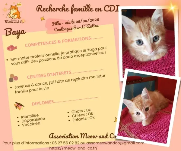 Photo de Baya