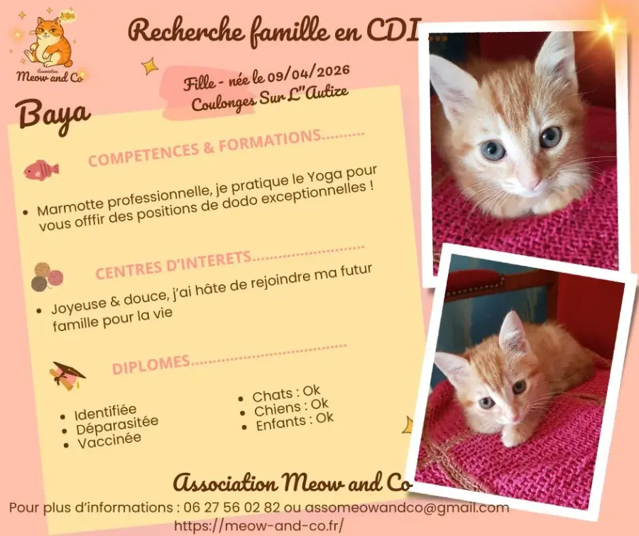 Photo de Baya