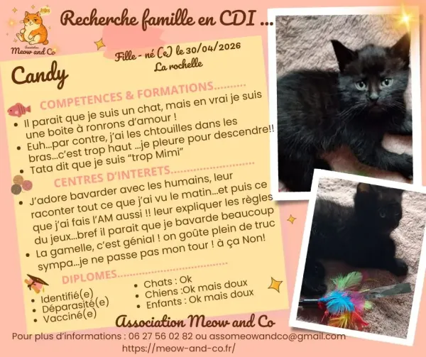 Photo de Candy 