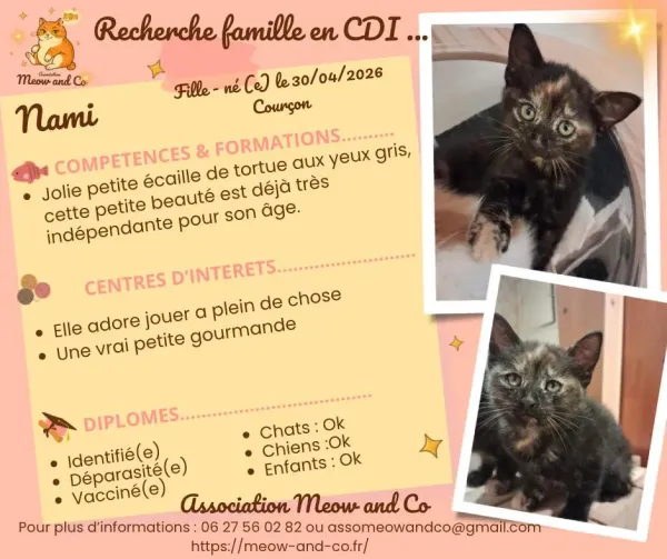 Photo de Nami