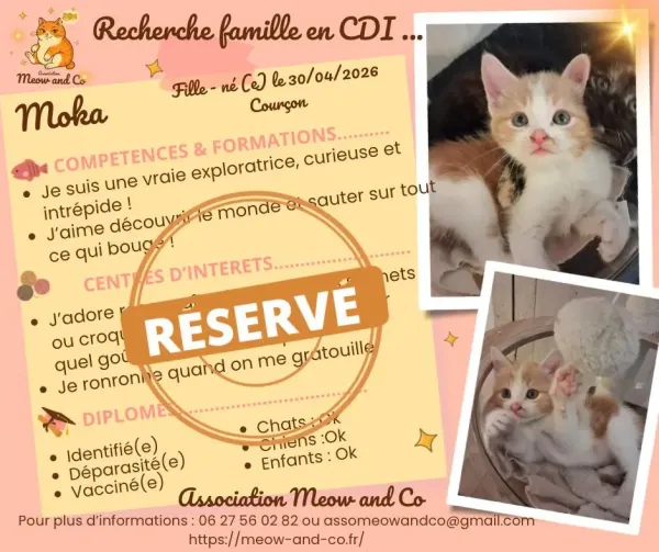 Photo de Moka