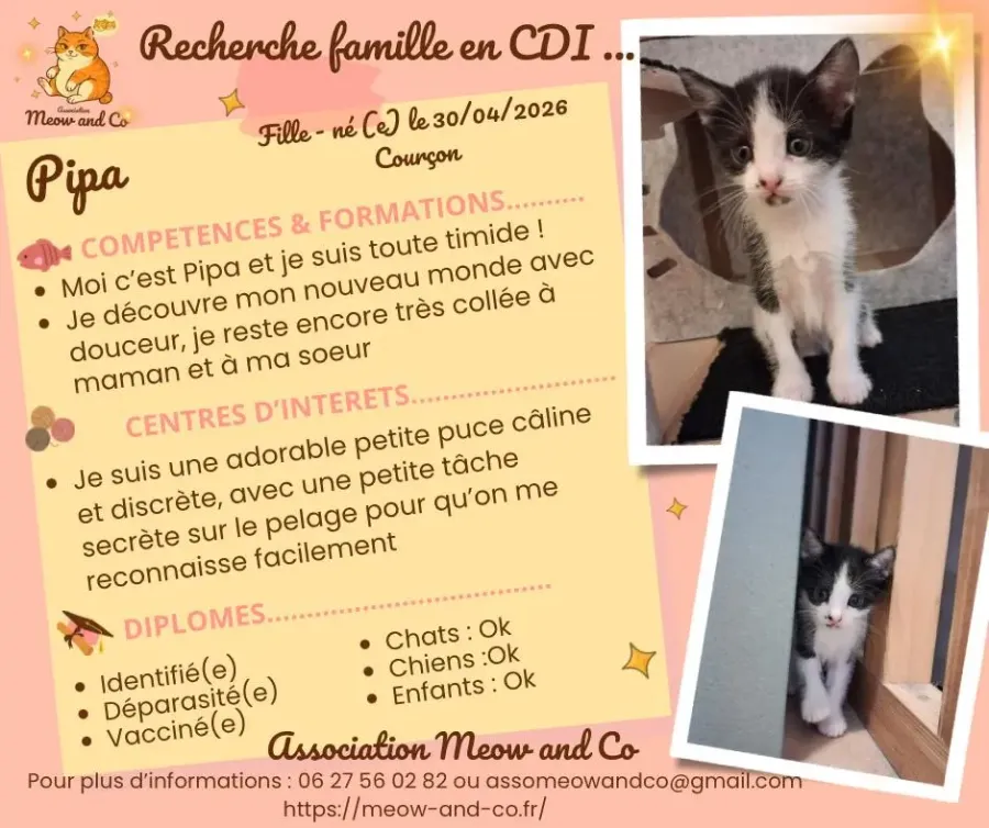 Photo de Pipa