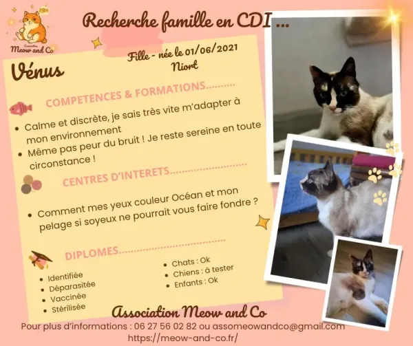 Photo de Vénus