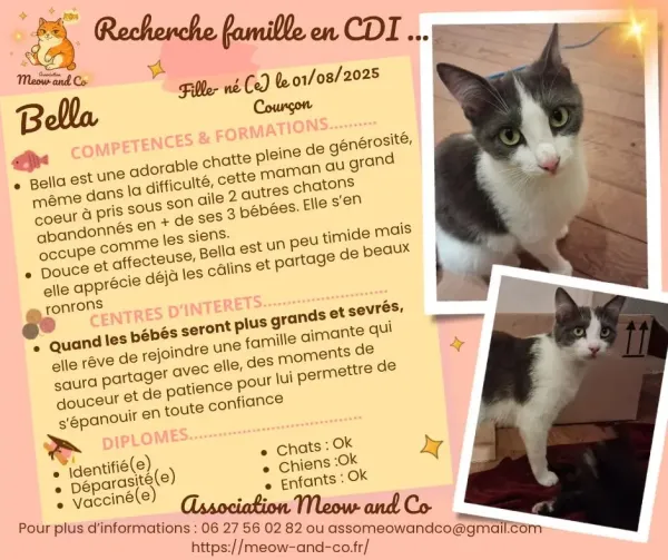 Photo de Bella