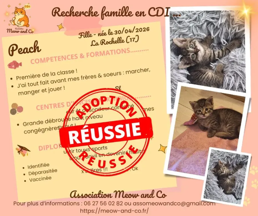 Photo de Peach