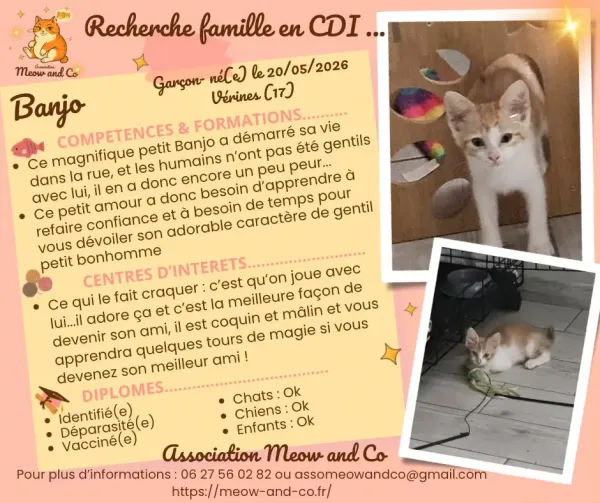 Photo de Banjo