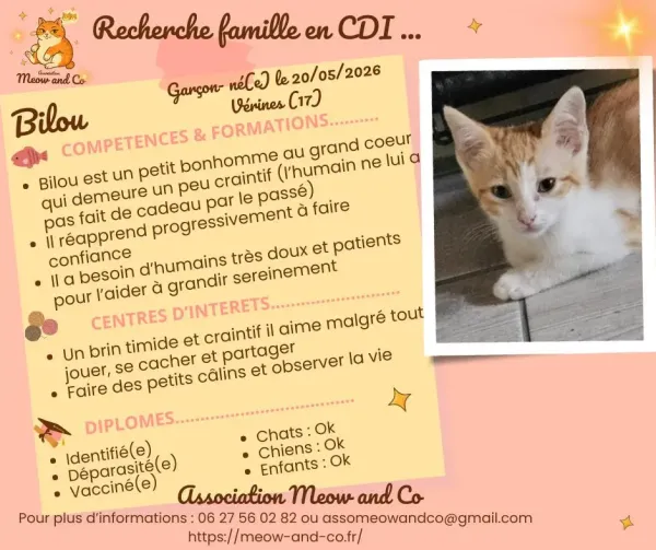 Photo de Bilou