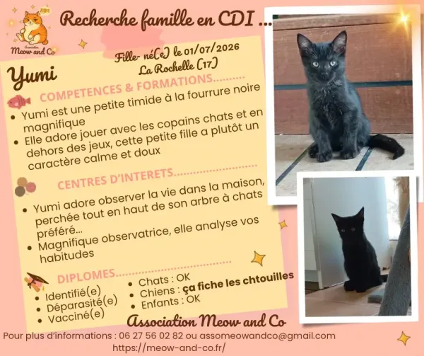 Photo de Yumi
