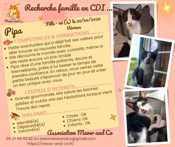 Photo de Pipa