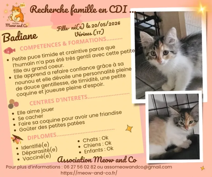 Photo de Badiane 
