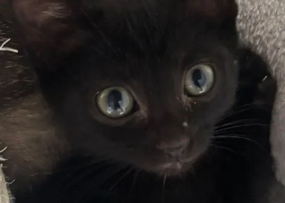 Photo de WALLY