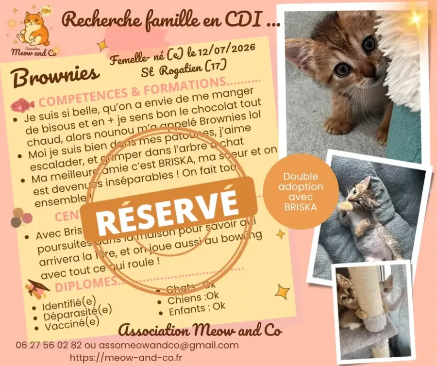 Photo de Brownies