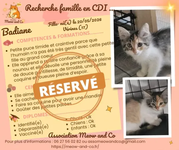 Photo de Badiane 