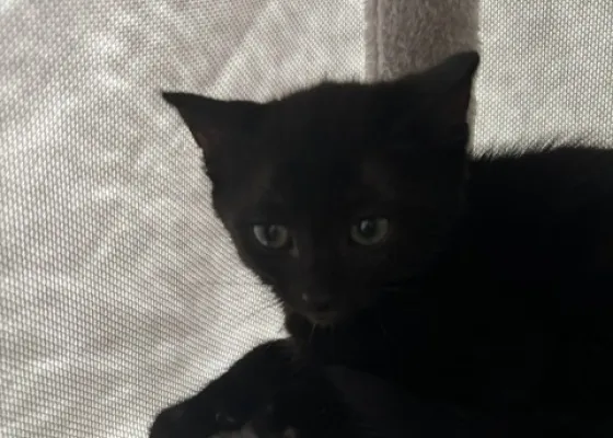Photo de WALLY