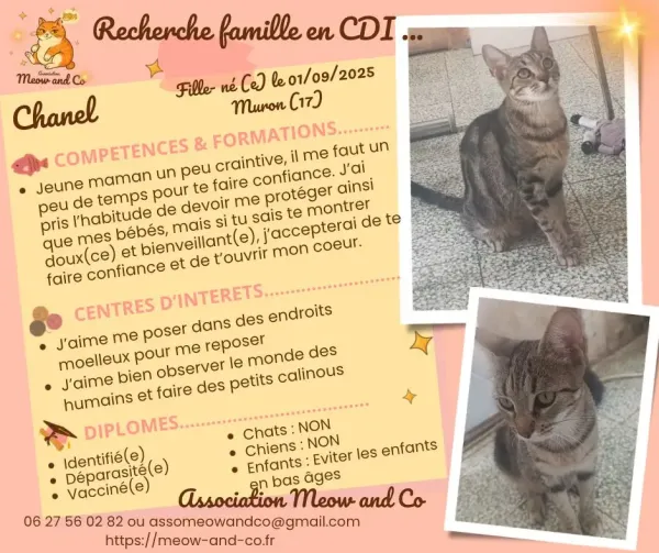 Photo de Chanel