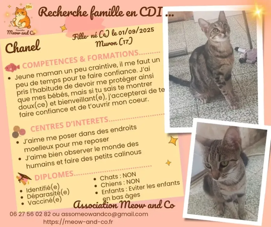 Photo de Chanel