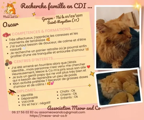 Photo de Oscar