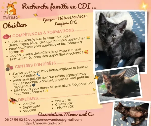Photo de Obsidian