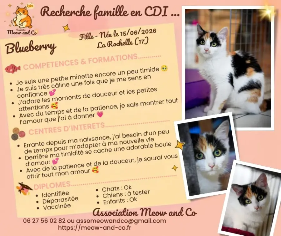 Photo de Blueberry