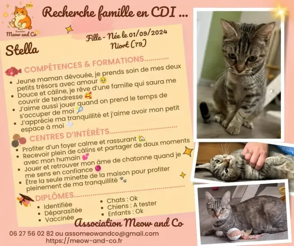Photo de Stella