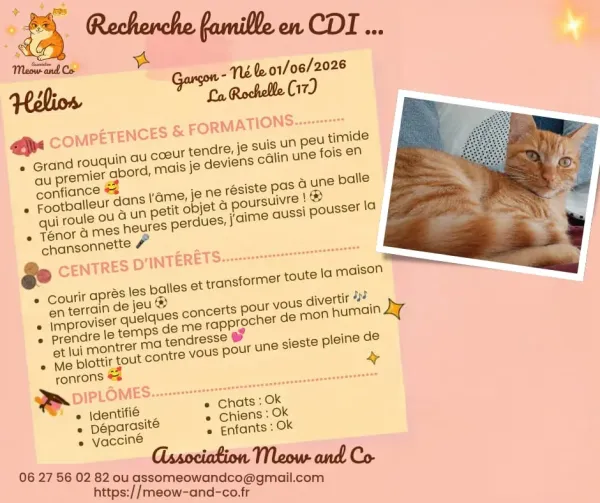 Photo de Helios