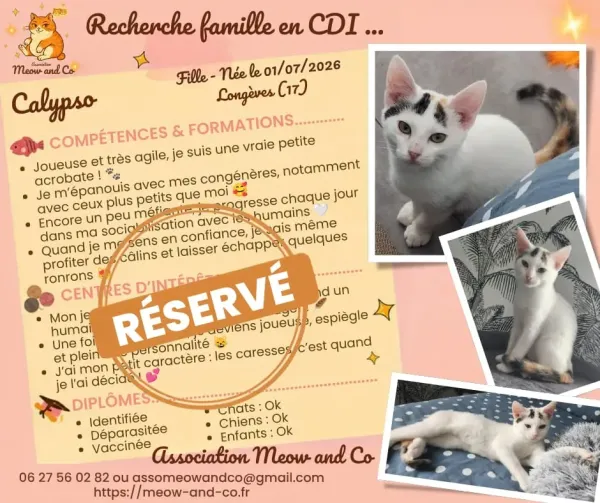 Photo de Calypso 