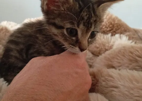 Photo de YOSHI