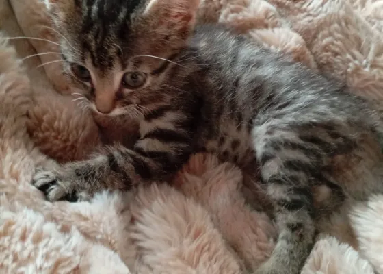 Photo de YOSHI
