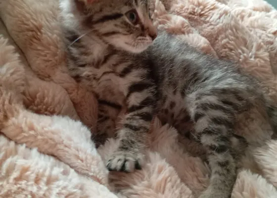 Photo de YOSHI