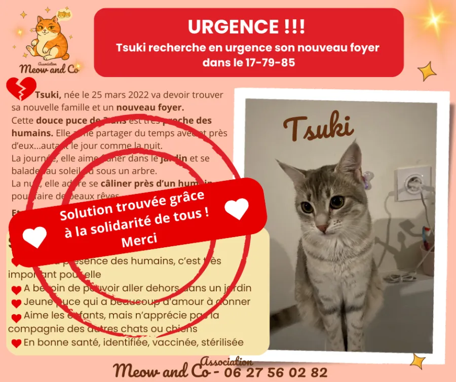 Photo de TSUKI