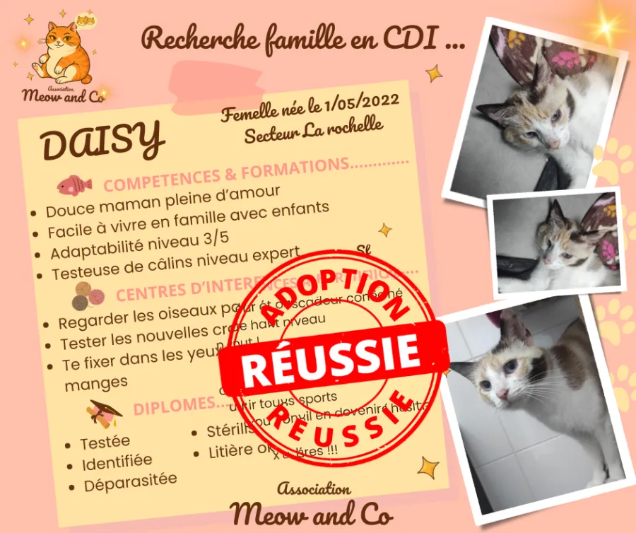 Photo de DAISY