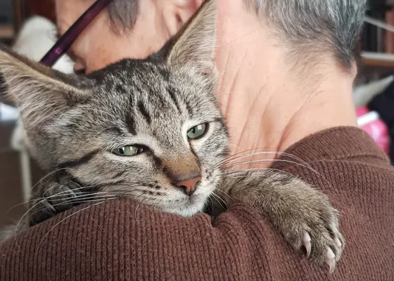 Photo de YODA
