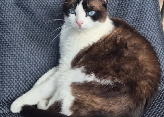 Photo de NALA