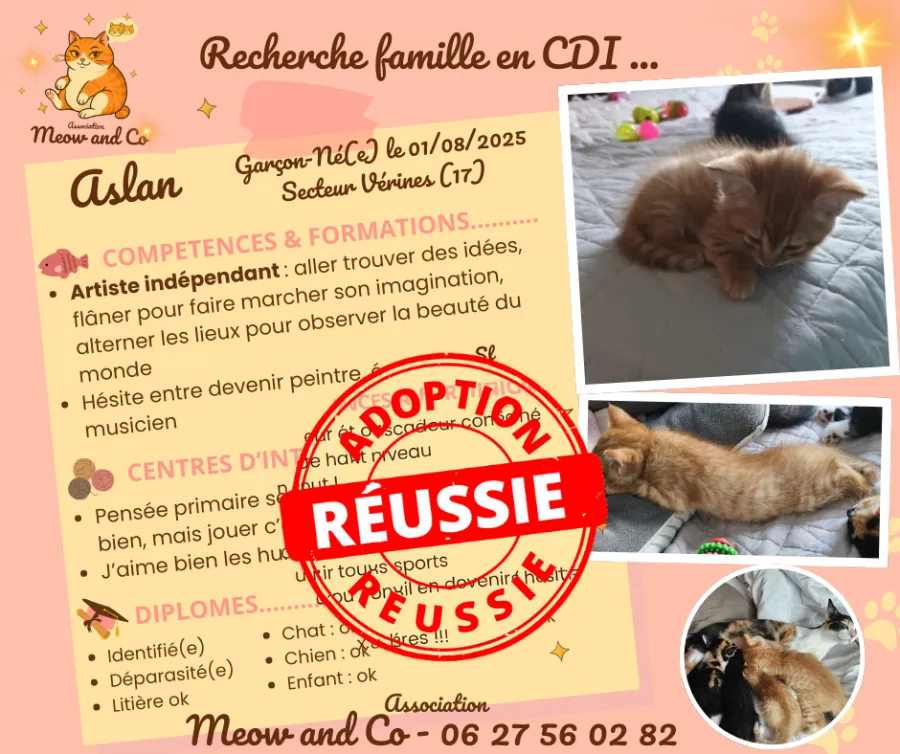 Photo de ASLAN