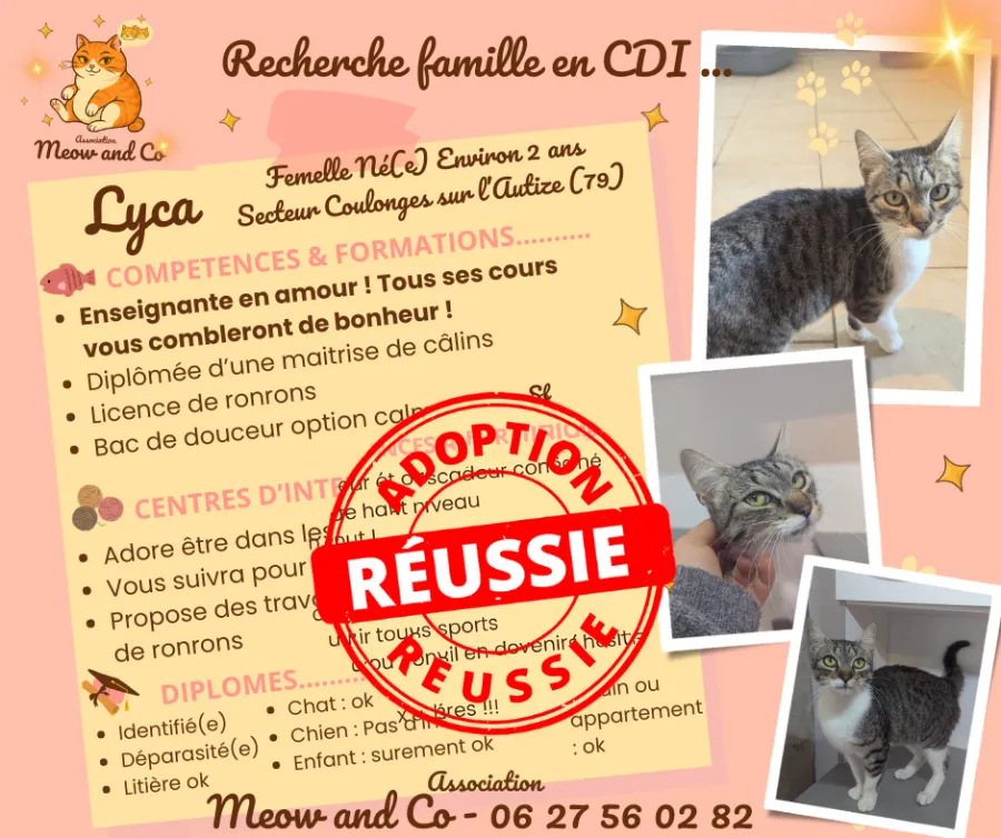 Photo de LYCA