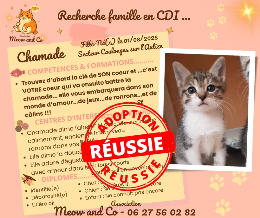Photo de CHAMADE