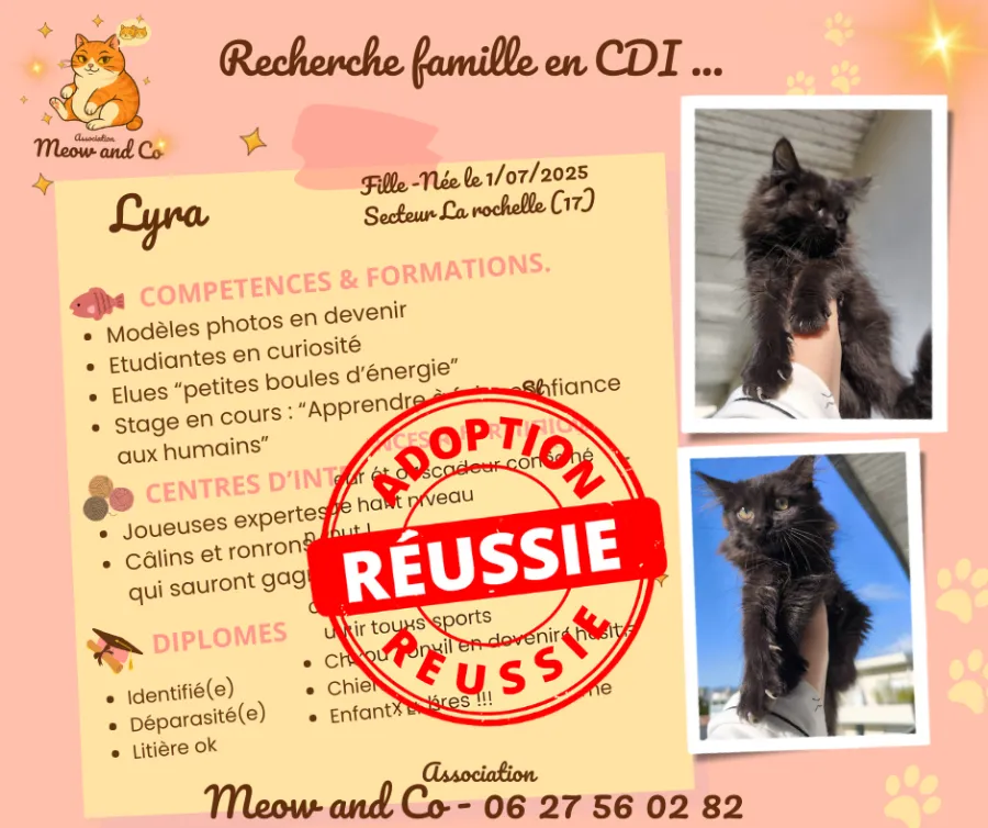 Photo de LYRA