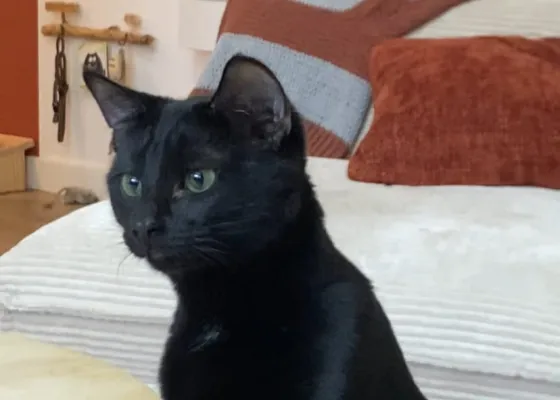 Photo de WALLY