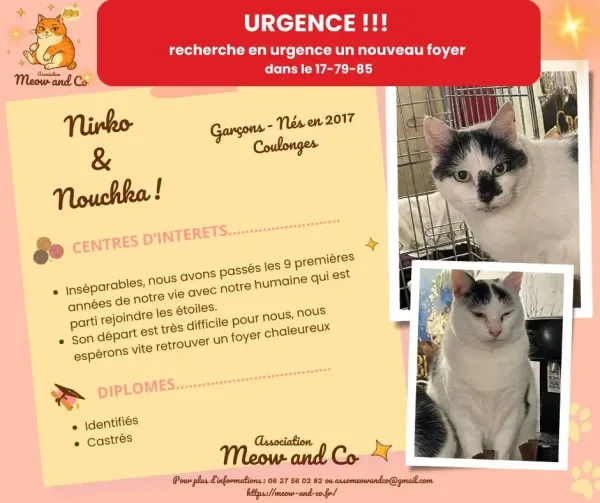 Photo de NIRKO ET NOUCHKA