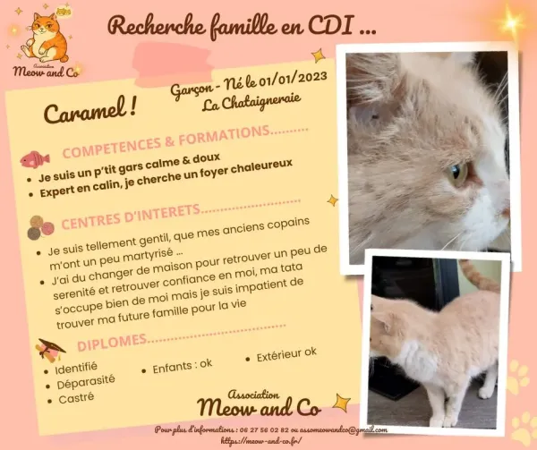 Photo de Caramel