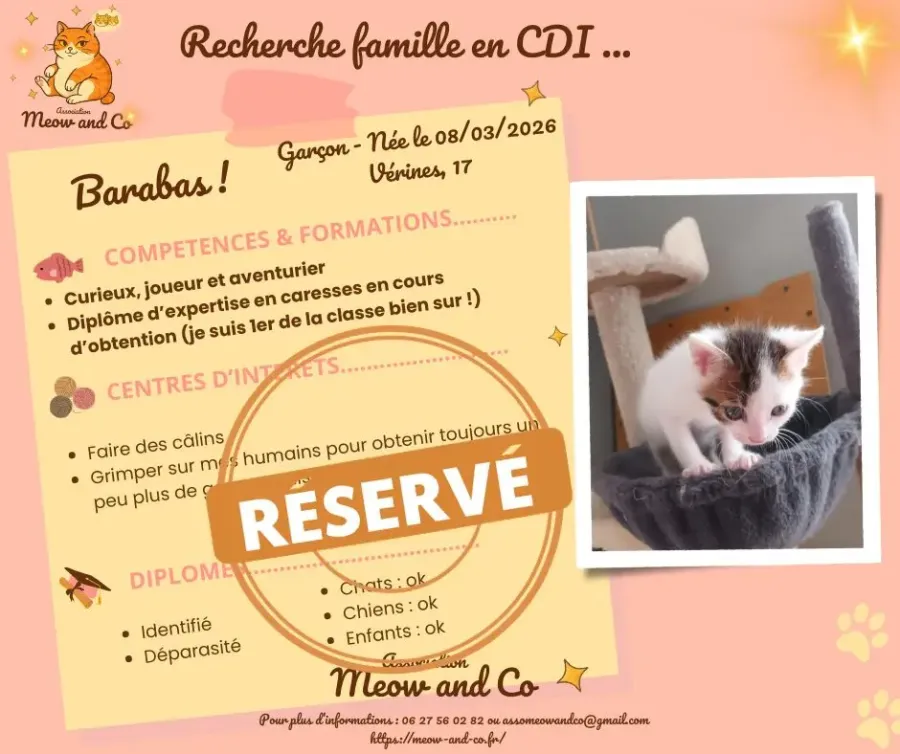 Photo de Barabas