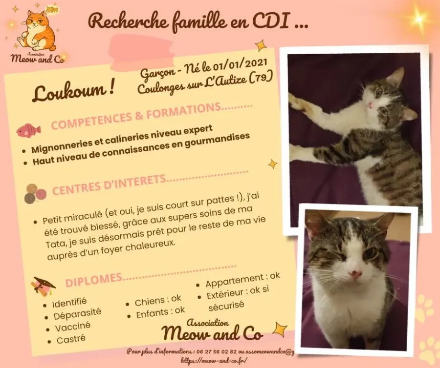 Photo de Loukoum